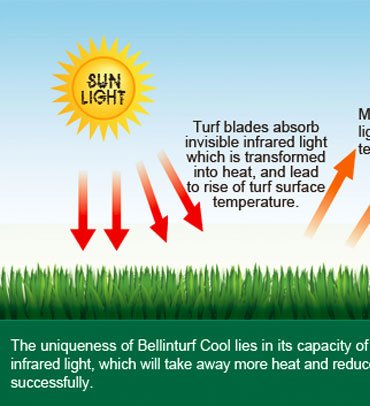 Cool-Grass